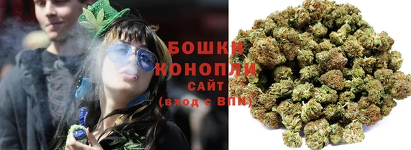 прущие грибы Володарск