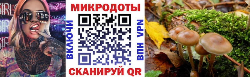 что такое наркотик  Иннополис  omg   Галлюциногенные грибы мухоморы 
